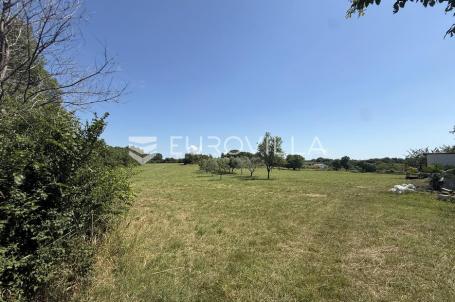 Ližnjan, Muntić, Prostrano kombinirano zemljište 5350 m² na mirnoj lokaciji