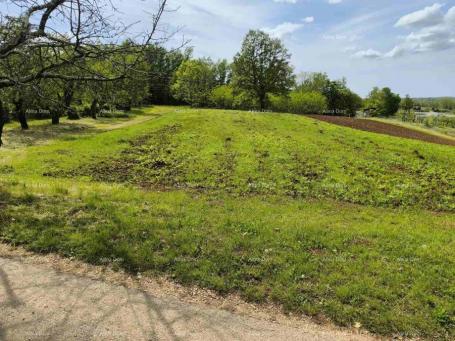 Građevinsko zemljište GRAĐEVINSKO ZEMLJIŠTE 2.297 m² U BLIZINI PAZINA