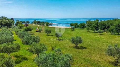 Umag, okolica - moderna kuća 1. red do mora!