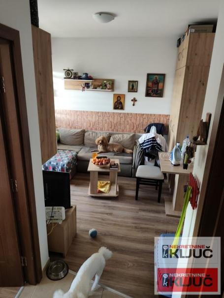 ADICE, 29m2, Jednoiposoban, Namešten