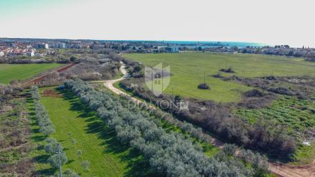 Umag, savršeno građevinsko zemljište 3.700 m2 za investiciju blizu grada i mora!