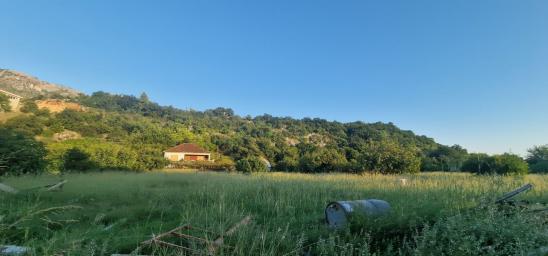 Prodaja imanja sa razvojnim potencijalom – Doljani, Podgorica
