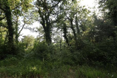 Zemljište s građevinskom i lokacijskom dozvolom, 15 km od Poreča