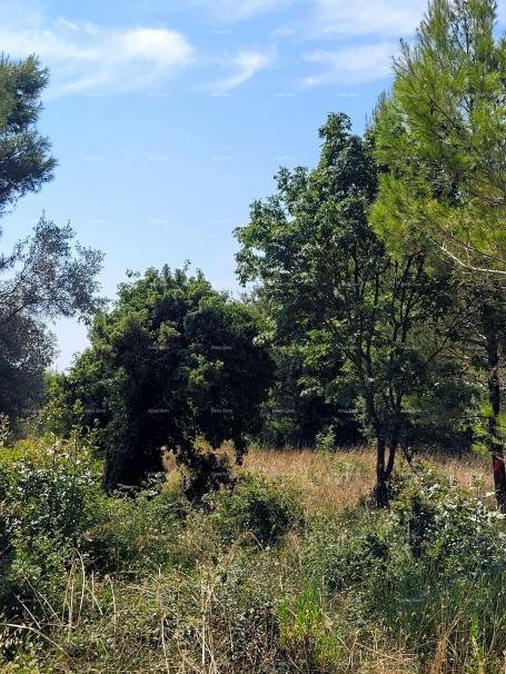 Građevinsko zemljište Atraktivna građevinska parcela u Medulinu, naselje Vrčevan