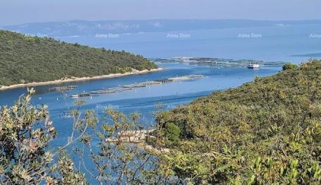 Building land Land – Olive Grove 4,609 m², Valtura