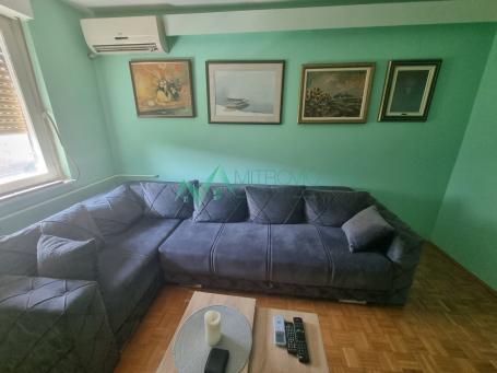 Izdavanje, Stan, 50m2 , Detelinara