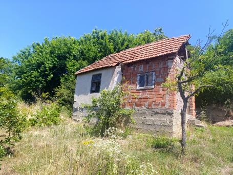 Plac sa viknedicom Aleksinac
