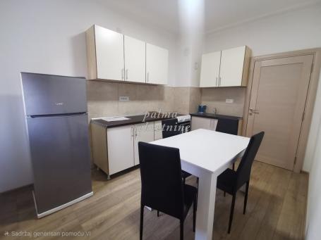 Izdavanje, Stan, 47m2 , Bubanj