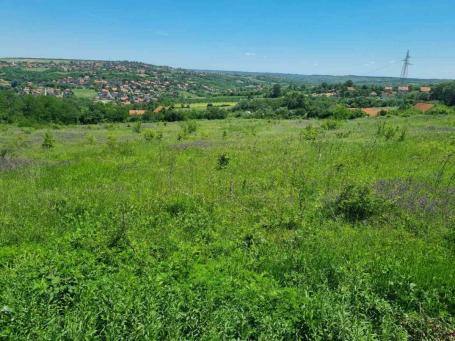 Plac u Bariču - 1,5 ha