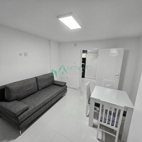 Izdavanje, Stan, 25m2 , Grbavica - Telep