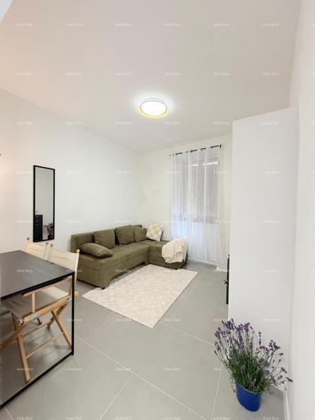 House Renovated Stone House, Vodnjan