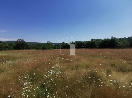 Plac, 27285m2, Grbe, Danilovgrad