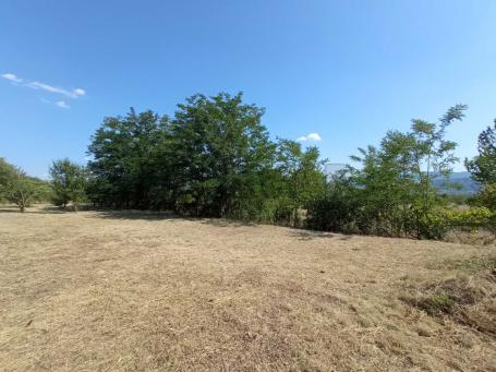 Izdaje se plac u Gornjoj vrežini, 2000m2 sa kancelarijskim prostorom