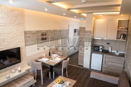 Apartman  na  Kopaoniku, 24 m2, prvi sprat, Welnes