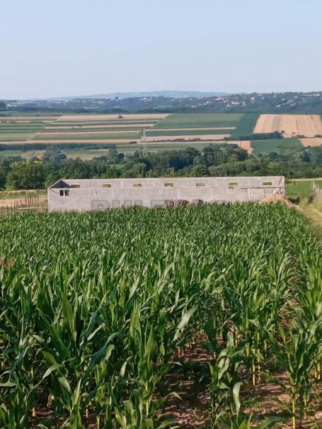 Poljoprivredno zemljište, Šljivovac kod Kragujevca – 4734 m2, započet objekat 30 m x 6,5 m