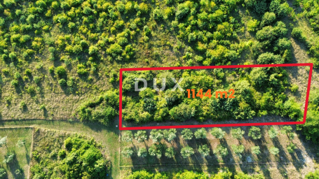 ZADAR, MURVICA - Poljoprivredno zemljište na mirnoj lokaciji 1144 m2