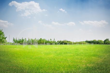 PRODAJA ZEMLJIŠTA – 13,6 ha u komadu, Lalinac (Niš)