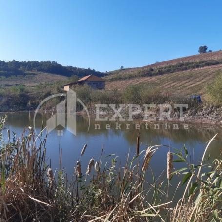 Jedinstveno! Plantaža Borovnica na  imanju 4,5 ha, kuća 78m2, pomoćni bjekat i deo hladnjače, blizu 