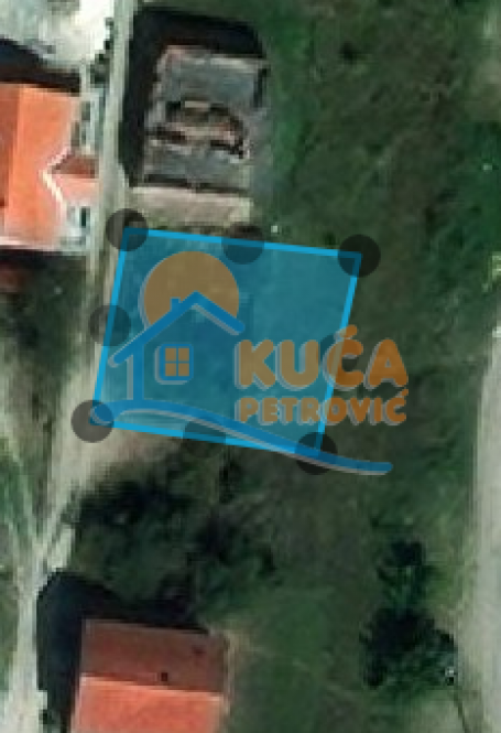Plac 4 ara, Pasi Poljana