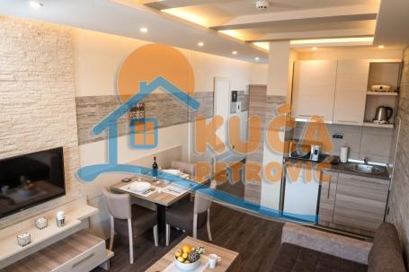 Apartman  na  Kopaoniku, 24 m2, prvi sprat, Welnes