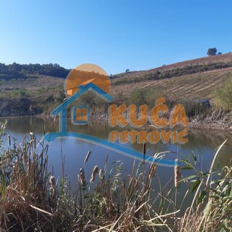 Jedinstveno! Plantaža Borovnica na  imanju 4,5 ha, kuća 78m2, pomoćni bjekat i deo hladnjače, blizu 
