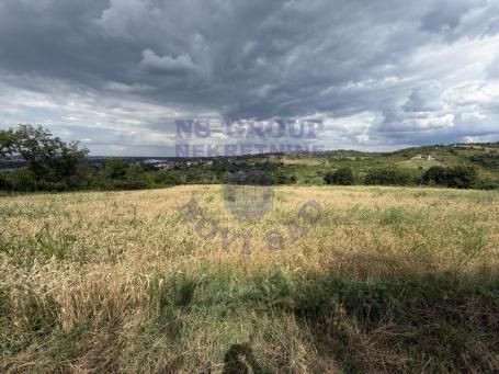 Odličan plac u Ledincima 12268m2