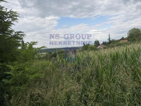 Odličan plac u Ledincima površine 7880m2