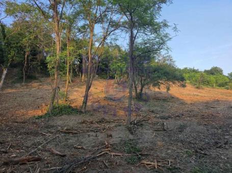 Građevinski plac 3900m2 - Popovica 