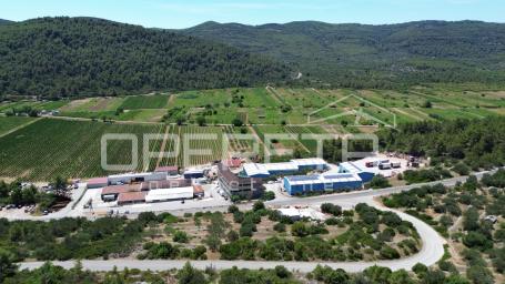 Poljoprivredno zemljište 2.784 m2 u Blatu, Korčula