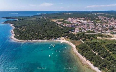 Kuća Kuća s  tri zasebna stana i maslinikom, svega 500 m od mora