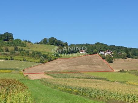 Građevinsko zemljište Gregurovec 16.801 m2 u komadu