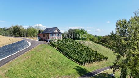 House Donje Vino, Krapinske Toplice, 300m2