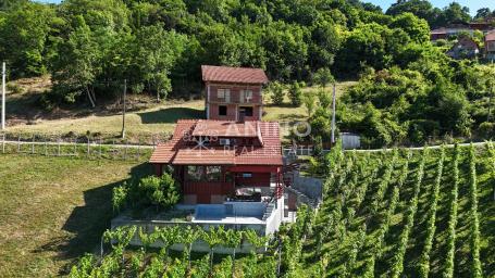 Trški Vrh – kuća s uređenom okućnicom, vinogradom i prekrasnim pogledom