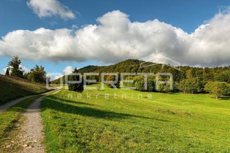 PRODAJA, POLJOPRIVREDNO ZEMLJIŠTE, GORSKI KOTAR, MRKOPALJ, 2.236 m2