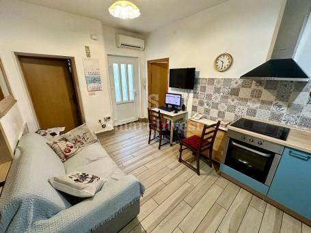 OPATIJA - CENTAR, dva stana s okućnicom u blizini mora 