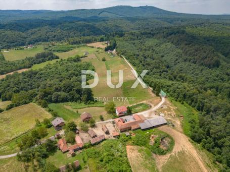 VRGINMOST, BLATUŠA - Veliko imanje, farma s mehanizacijom i životinjama! 40 hektara zemljišta!