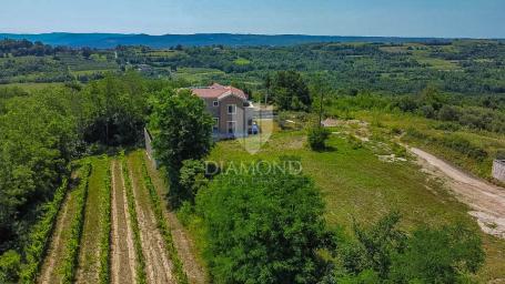 Buje, okolica, prostrano zemljište sa otvorenim pogledom!