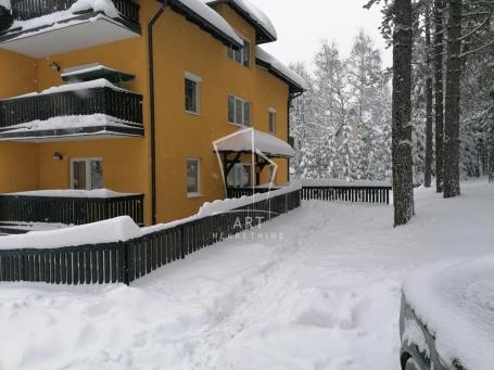 Uknjižen 1.5 stan, namešten, odlična investicija ID#15654