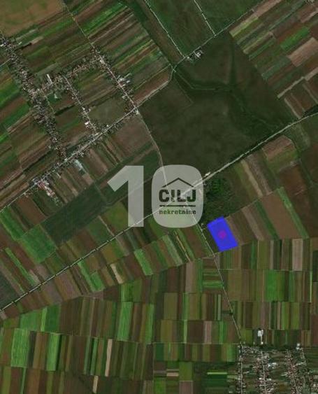 Poljoprivredno zemljište 645,68 ari ID#1589