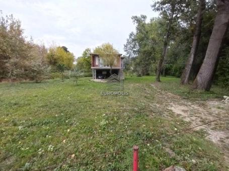 Žrtava fašizma, Prograr, Surčin ID#8421