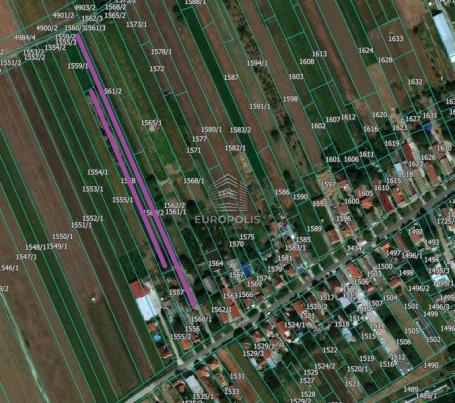 Plac od 82 ara u Dobanovcima – građevinsko područje ID#8793