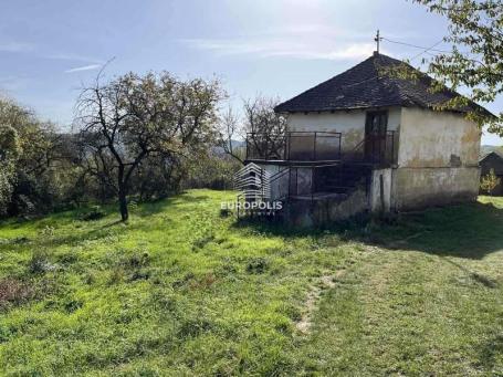 Odličan plac sa starom kućom, Guberevac ID#9568