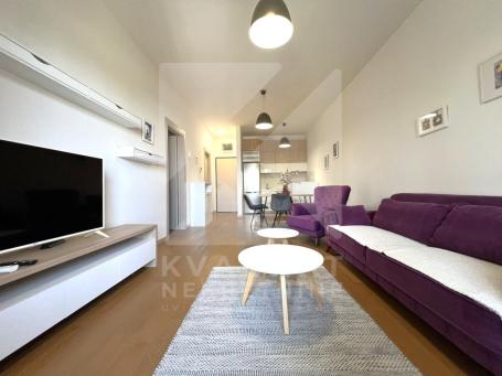 Izdavanje, Jednosoban stan, Podgorica, Centar, 53m2