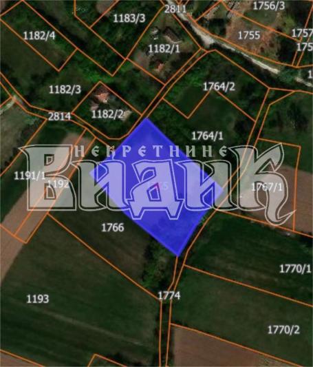 Barajevo, Veliki Borak ID#2309
