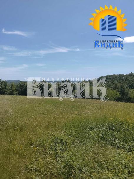 Dražanovac, Stamenke Čarapić ID#3157