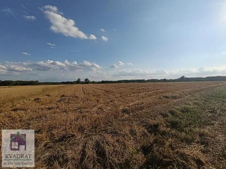 Poljoprivredno zemljiste 2.63 ha, Trstenica, Obrenovac - 21.000€