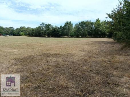 Građevinski plac 52 ara, Orašac, Obrenovac – 14.000€