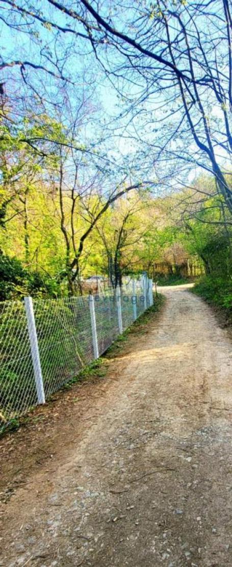 Plac Fruška gora, 29 ari