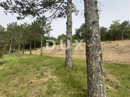 ISTRA, KRŠAN - Građevinsko zemljište s pogledom 