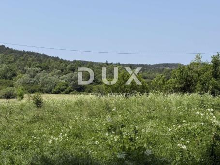 ISTRA, LANIŠĆE - Poljoprivredno zemljište 